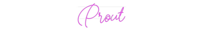 Custom Neon: Prout