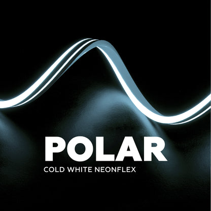 NEON LED - POLAR cold white